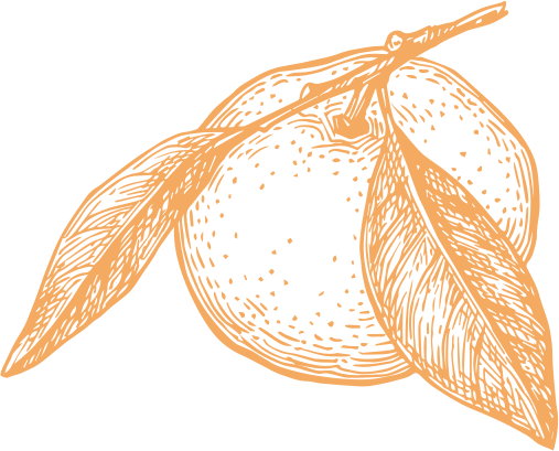 Villa Portokalia Logo